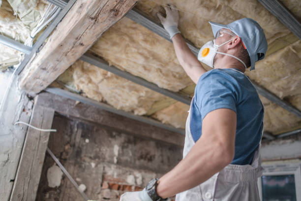 Best Fiberglass Insulation in Vienna, WV