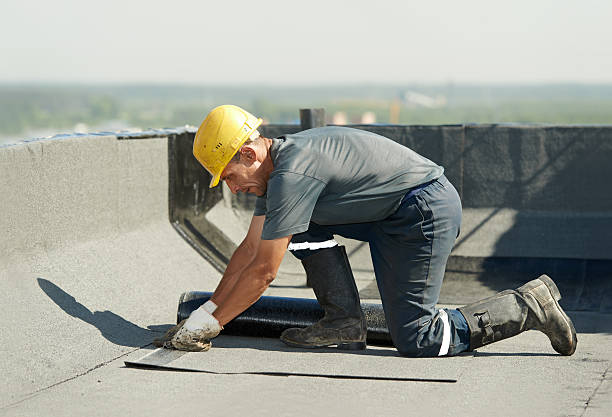 Best Geographic-Specific Insulation Services in Vienna, WV
