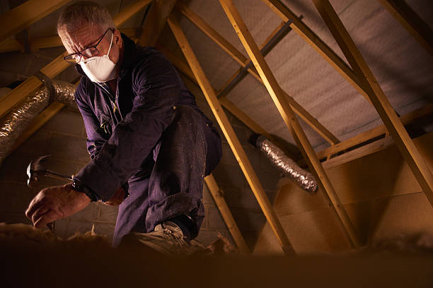 Best DIY Insulation Kits and Guidance in Vienna, WV